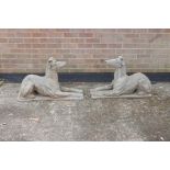 A pair of cast stone figures of pharaoh hounds with cropped ears, A/F, 12½" x 33½"