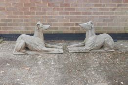 A pair of cast stone figures of pharaoh hounds with cropped ears, A/F, 12½" x 33½"