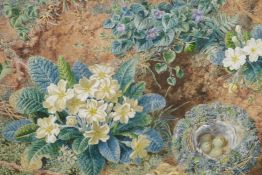 T.F. Collier, primroses and bird's nest on a mossy bank, dated 1873, signed watercolour, 11" x 15"