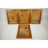 A set of four good quality C19th bird's eye maple picture frames, inner aperture 10" x 7", A/F
