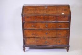 An Italian C18th burr yew bureau with a fold down top and fitted interior over three serpentine