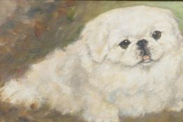 Portrait of a dog, inscribed verso 'Toby', Bateson Mason, oil on canvas board, 6½" x 10½"