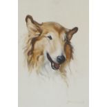 Jas E. M'Connel, portrait of a Collie dog, signed, watercolour, 14" x 10"