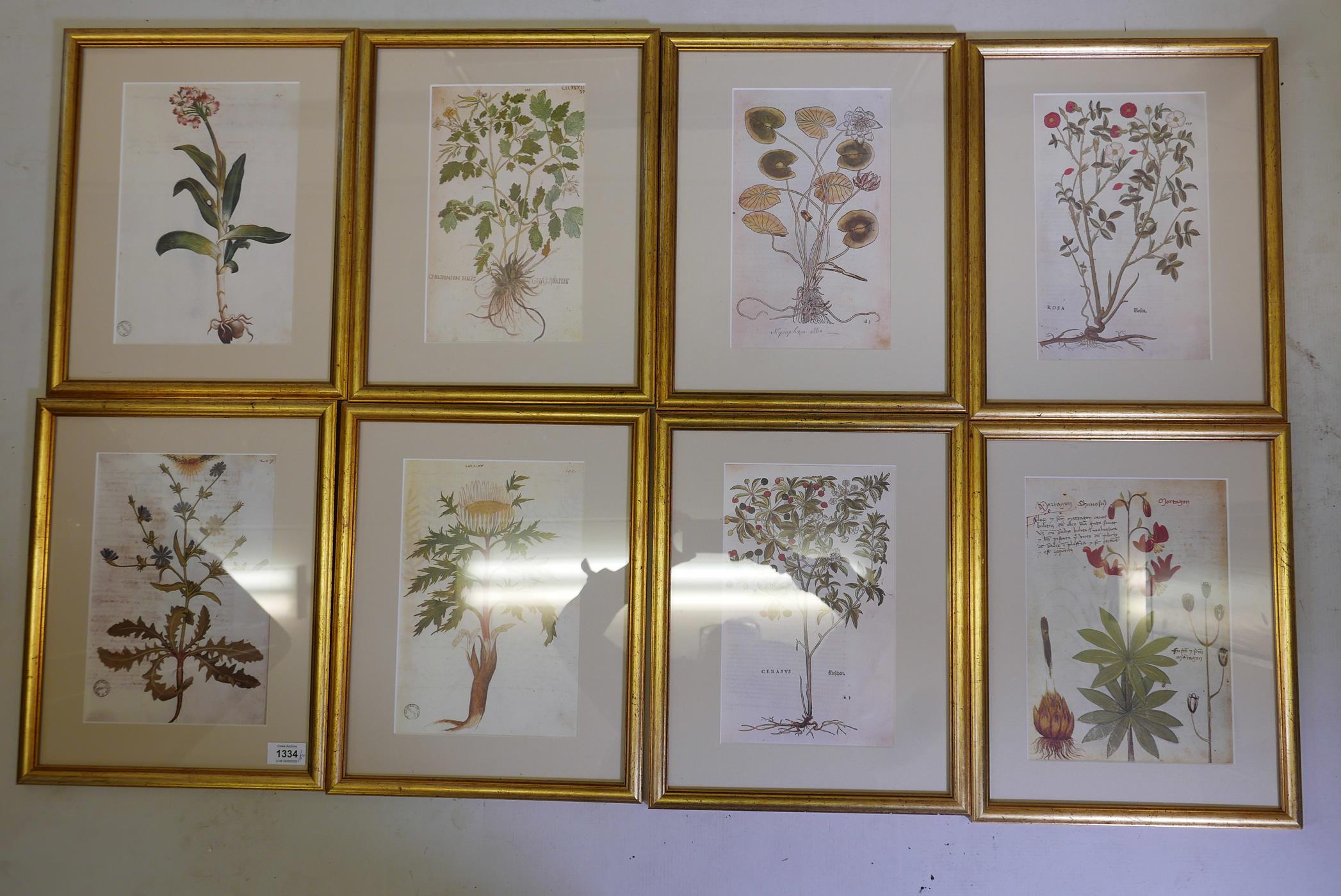 A collection of eight good quality botanical prints in cream mounts and classical gilt frames, 15" x - Image 2 of 4