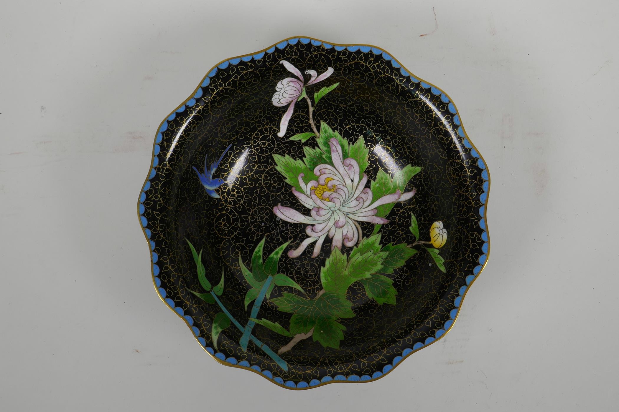 A Chinese black ground cloisonne bowl with frilled rim and chrysanthemum decoration, 8½" diameter - Image 2 of 3