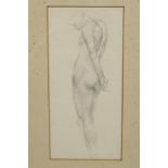 Male figure study, indistinctly monogrammed, Pre-Raphaelite style pencil drawing, 7½" x 3¾"