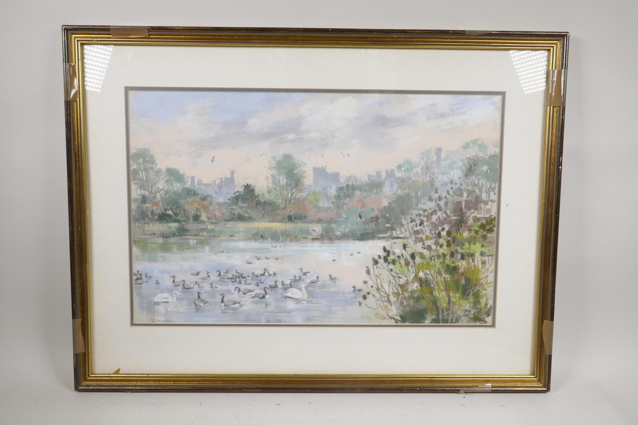 Susan Dakakin, Arundel wildfowl sanctuary, pastel landscape of ducks on a pond, 19½" x 12" - Image 2 of 3