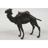 A bronze figure of a dromedary camel with saddle, 5" high