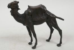 A bronze figure of a dromedary camel with saddle, 5" high