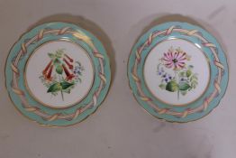 A pair of hand decorated and gilded cabinet plates, with blue borders and floral decoration,