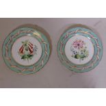 A pair of hand decorated and gilded cabinet plates, with blue borders and floral decoration,