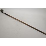 A hardwood walking stick with horn handle and silver ferule, 33" long