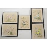 Five Chinese watercolours on silk depicting insects and flowers, 7" x 5"