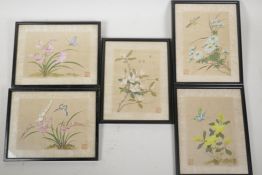Five Chinese watercolours on silk depicting insects and flowers, 7" x 5"