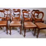 A set of eight Victorian walnut kidney back dining chairs, with screwed back legs, raised on