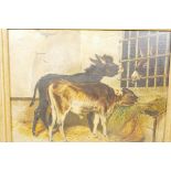 Stable interior with donkey and calf being watched by a mule in adjacent stable, oil on board,