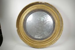 A Regency convex mirror in a heavy gilt frame, 27" diameter overall