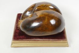 A carved wood model of a coco de mer, 6½" long, on an associated rectangular gilt and velvet stand