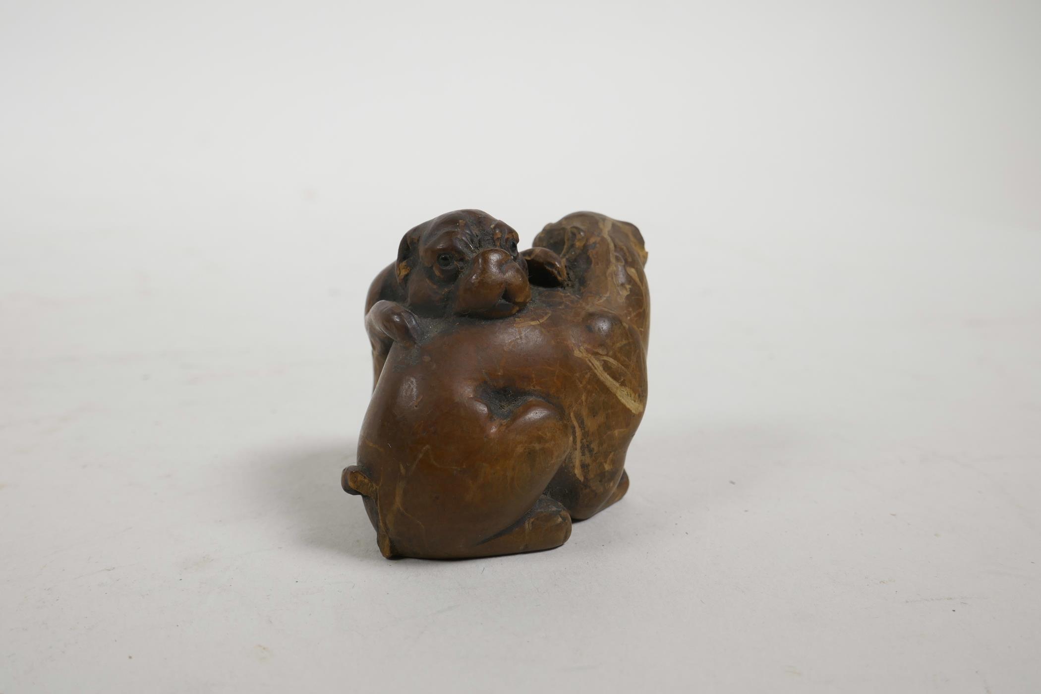 A late C19th/early C20th Japanese carved wood netsuke in the form of two Sharpei dogs, A/F, 1½" high - Image 2 of 3