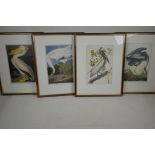 Four colour prints of birds after Audobon, two pelicans and two cranes, 6" x 9½"