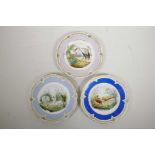 Three Vienna style polychrome porcelain cabinet plates decorated with various birds, largest 8½"