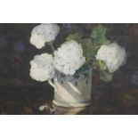 Hydrangea in a blue and white jug, signed K. Cameron, watercolour, 10½" x 13"