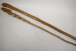Two hedgerow walking sticks, one with grown twist stem, longest 33"