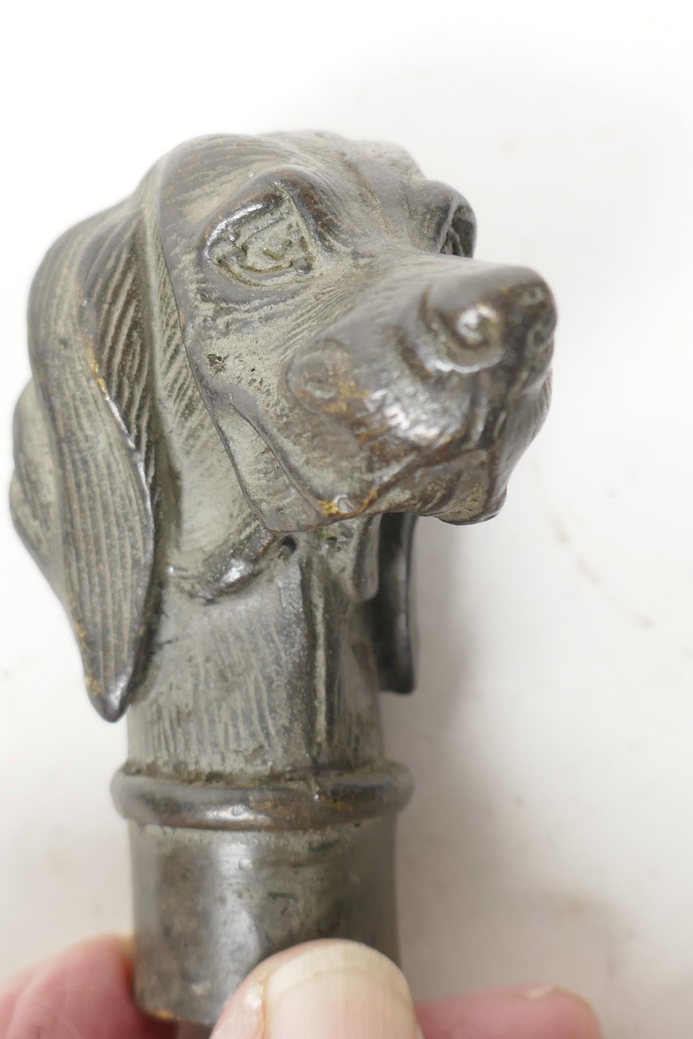 Two bronze walking stick handles cast as dog's heads, 3" long - Image 2 of 3