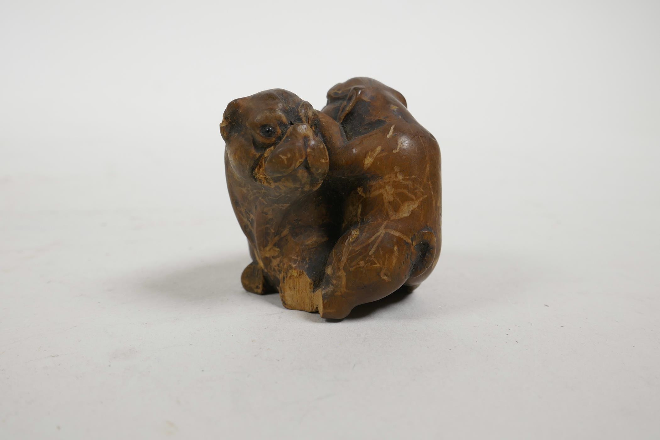 A late C19th/early C20th Japanese carved wood netsuke in the form of two tosa dogs, A/F, 1½" high