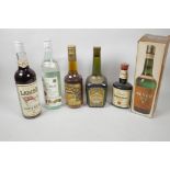 Six bottles of spirits and liquers; Bols apricot Brandy, Chastenet apricot brandy, Bacardi