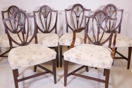 A set of six and one C18th Hepplewhite shield back dining chairs, with pierced splats and carved fan