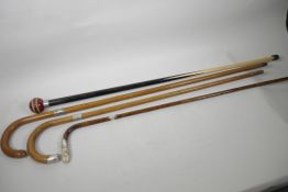 Three walking sticks with hallmarked silver mounts, largest 36" long, and a dandy cane made from a