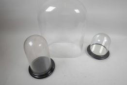 An oval glass dome, 10" x 6" x 14" high, together with a circular glass dome, 4½" diameter x 7"