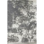 Norman Ackroyd, signed limited edition etching, 'Charleston Garden', 22" x 20"