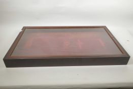 A mahogany shallow display cabinet, 24" x 14" x 2¼"