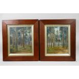 MacDonald (British, C19th), a pair of 'woodland scenes' featuring fir trees, signed lower right,