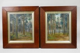 MacDonald (British, C19th), a pair of 'woodland scenes' featuring fir trees, signed lower right,