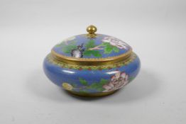 A Chinese blue ground cloisonne pot and cover decorated with birds and flowers, 7" diameter