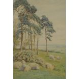William Sidney Cooper, 1910, sheep in a rural landscape, watercolour, 13½" x 9½"