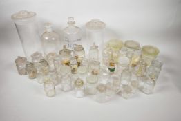 A quantity of glass storage jars, some containing biological specimens