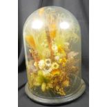 A glass dome containing a display of dried flowers, 15" high, 10" diameter, on a wooden base