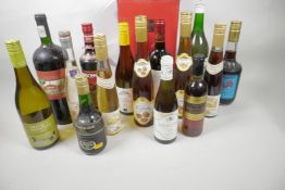 Fifteen bottles of various wines and liqueurs including Bols, Dubonet, fruit liquers, vermouth etc
