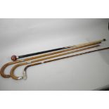 Three walking sticks with hallmarked silver mounts, largest 36" long, and a dandy cane made from a