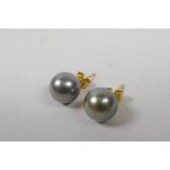 A pair of South Sea pearl stud earrings, on yellow metal posts