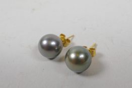 A pair of South Sea pearl stud earrings, on yellow metal posts