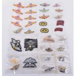 Collection of Parachute and Commando Badges