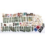 Large Quantity of Scandinavian Nationalities Military Insignia