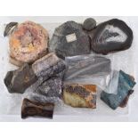 Assorted fossils and polished specimen hardstones