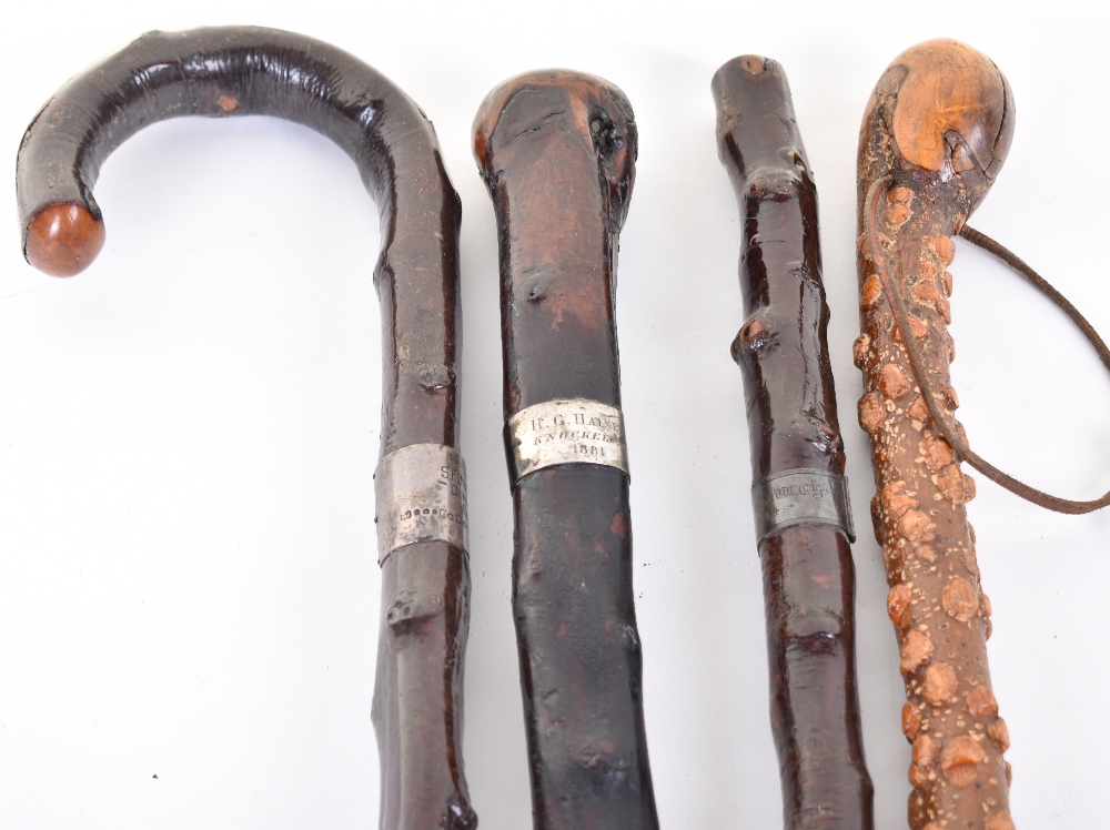 4x assorted knobbly walking sticks - Image 2 of 5