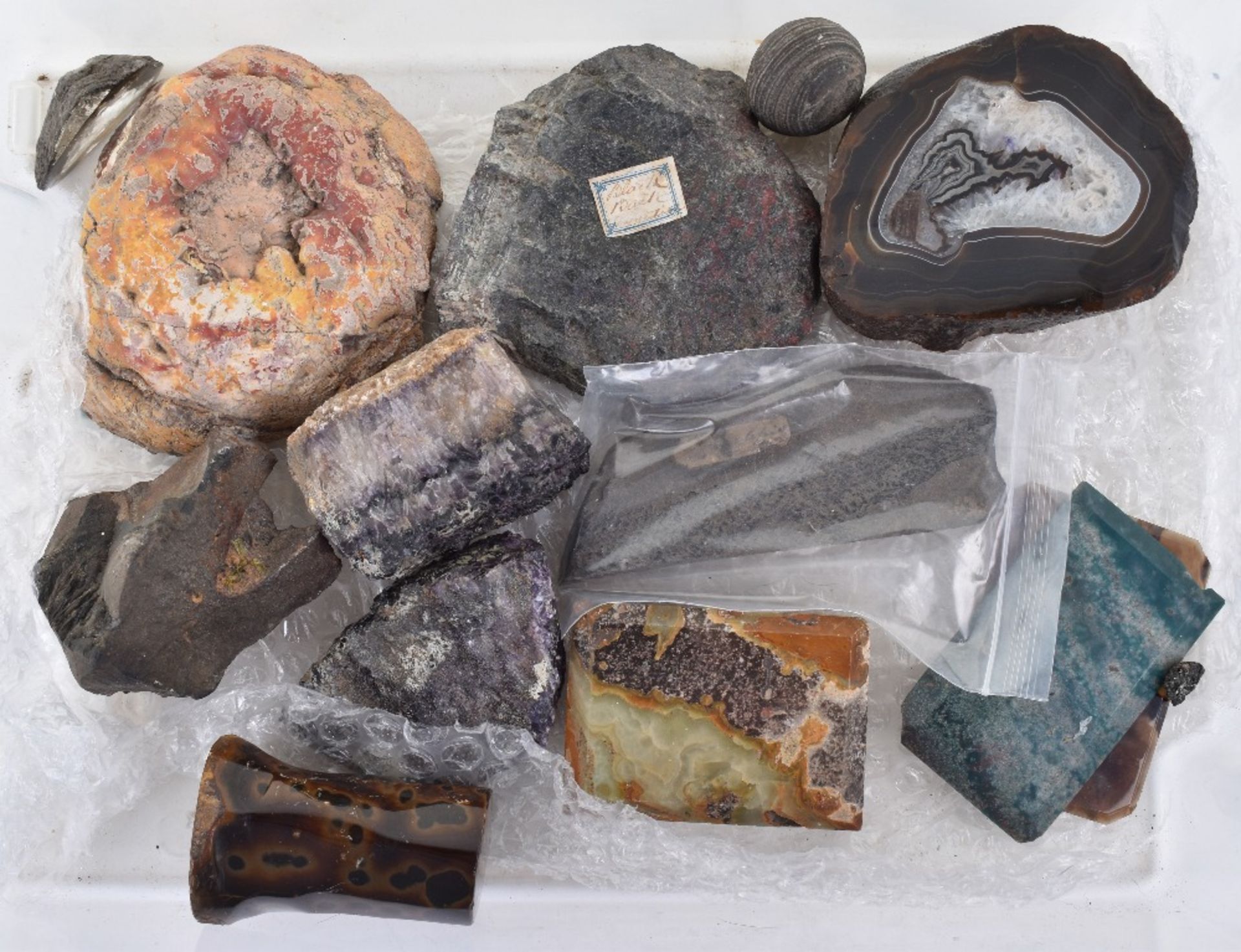 Assorted fossils and polished specimen hardstones